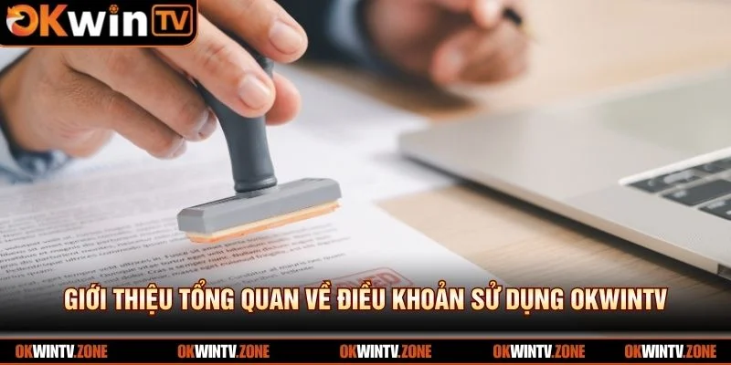 Giới thiệu tổng quan về điều khoản sử dụng OKWINTV