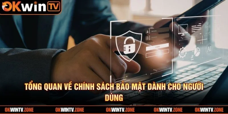 Tổng quan về chính sách bảo mật dành cho người dùng